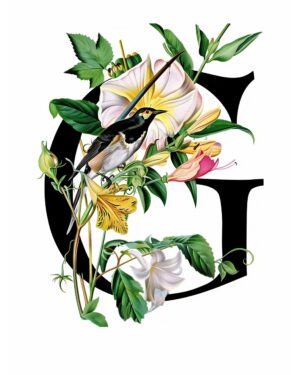 "G" Botanical Bird Alphabet 8"x10" Art Print