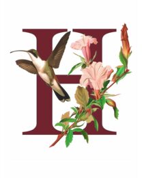 "H" Botanical Bird Alphabet 8"x10" Art Print