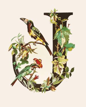 "J" Botanical Bird Alphabet 8"x10" Art Print