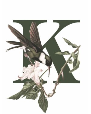 "K" Botanical Bird Alphabet 8"x10" Art Print