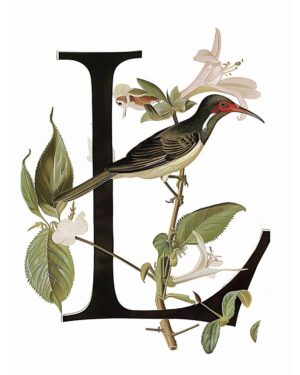 "L" Botanical Bird Alphabet 8"x10" Art Print