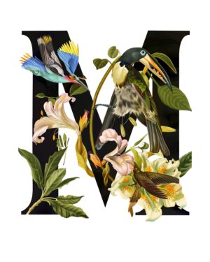 "M" Botanical Bird Alphabet 8"x10" Art Print