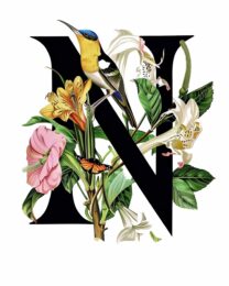 "N" Botanical Bird Alphabet 8"x10" Art Print