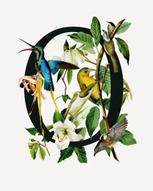 "O" Botanical Bird Alphabet 8"x10" Art Print