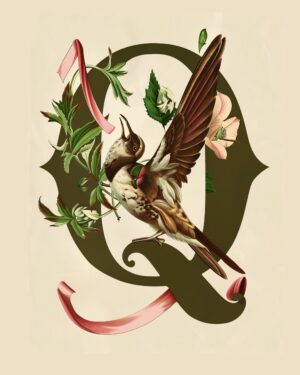 "Q" Botanical Bird Alphabet 8"x10" Art Print