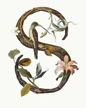 "S" Botanical Bird Alphabet 8"x10" Art Print