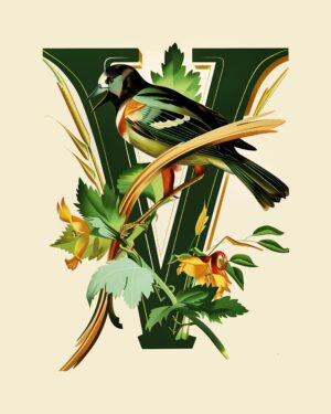 "V" Brown Botanical Bird Alphabet 8"x10" Art Print