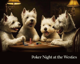 Westies Poker Night Art Print