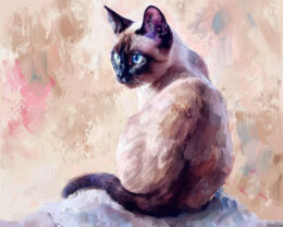 Curious Siamese Cat Art Print