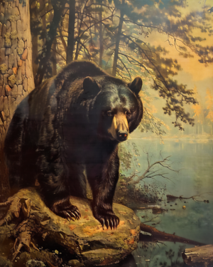 Vintage Style Black Bear - Mowbi's Wildlife Art Print Collection