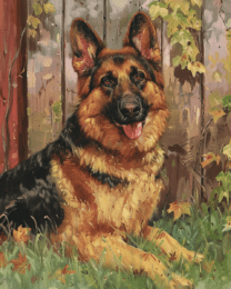 German Shepherd in the Backyard Art Print