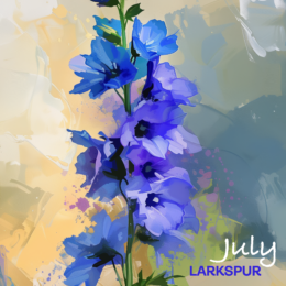 JULY LARKSPUR flower art print