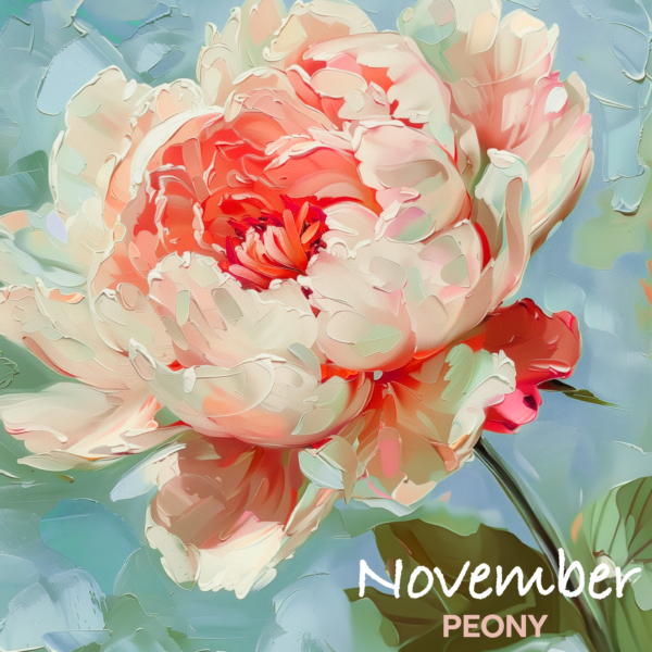 NOVEMBER PEONY flower art print