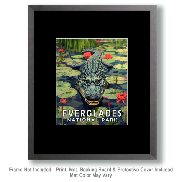 Alligator in Lily Pad Bayou Art print