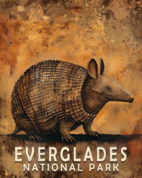 Armadillo Art Print - Mowbi's Everglades National Park