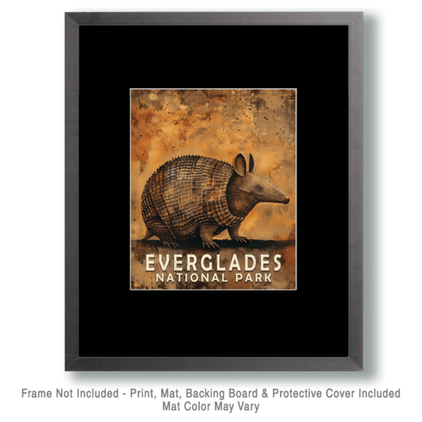 Armadillo Art Print - Mowbi's Everglades National