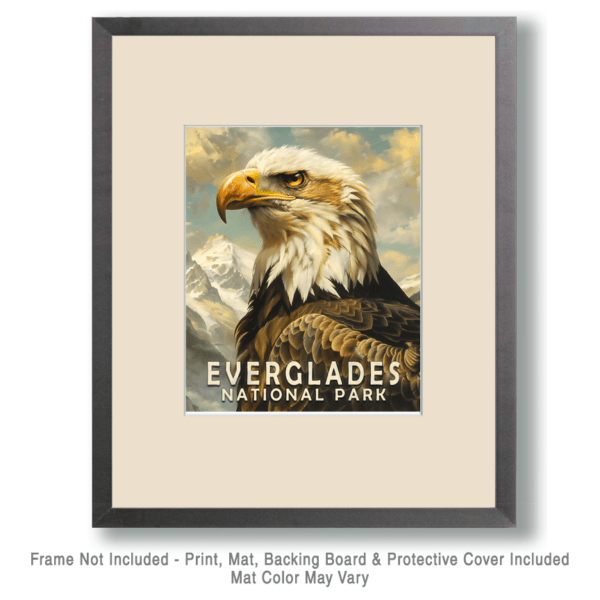 Bald Eagle Art Print