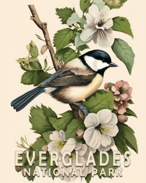 Chickadee Art Print - Mowbi's Everglades National Park