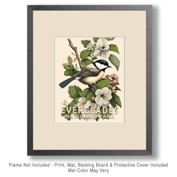 Chickadee Art Print - Mowbi's Everglades