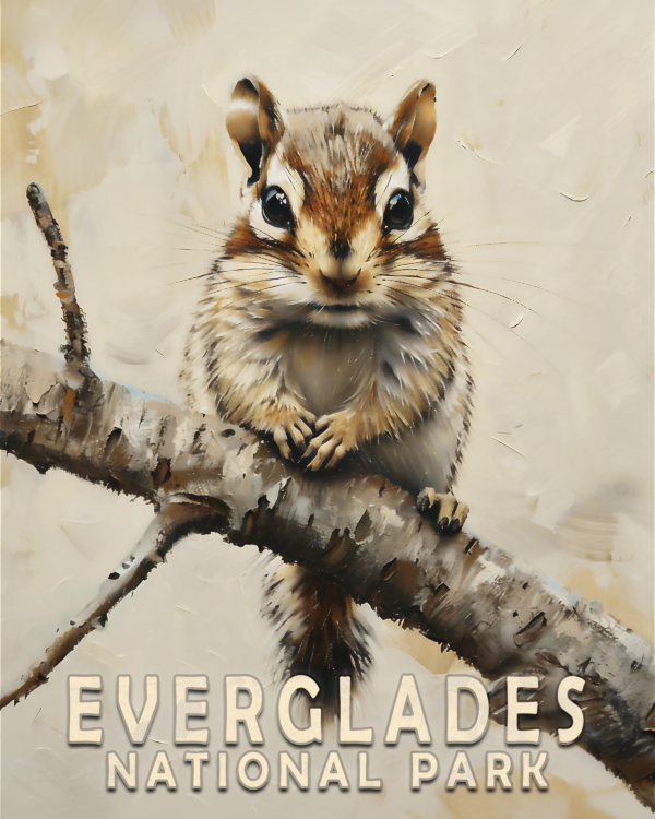 Chipmunk Kit Art Print - Mowbi's Everglades National Park