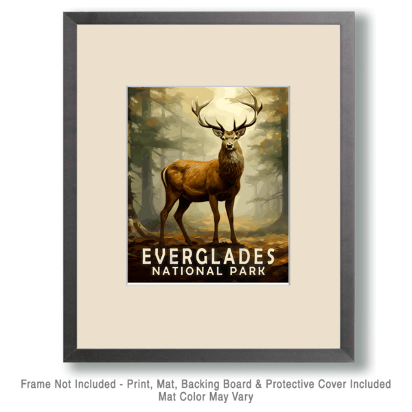 Buck Deer Art Print - Mowbi's Everglades