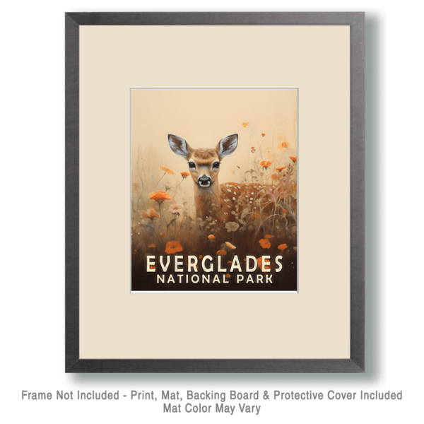 Deer Fawn Art Print - Mowbi's Everglades