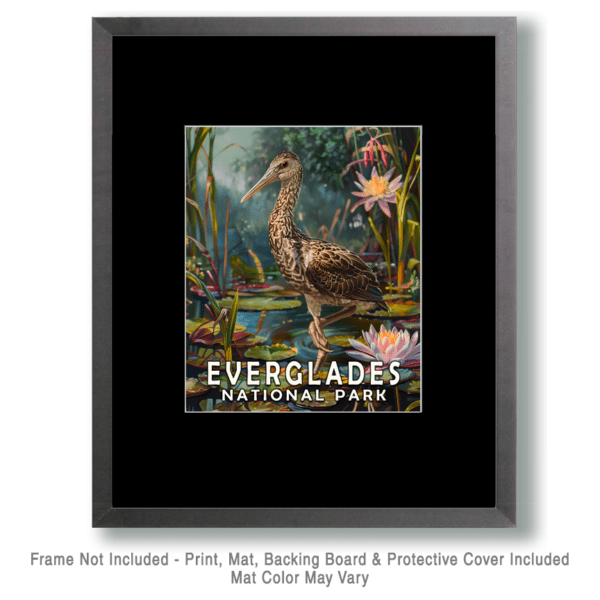 Limpkin Art Print - Mowbi's Everglades