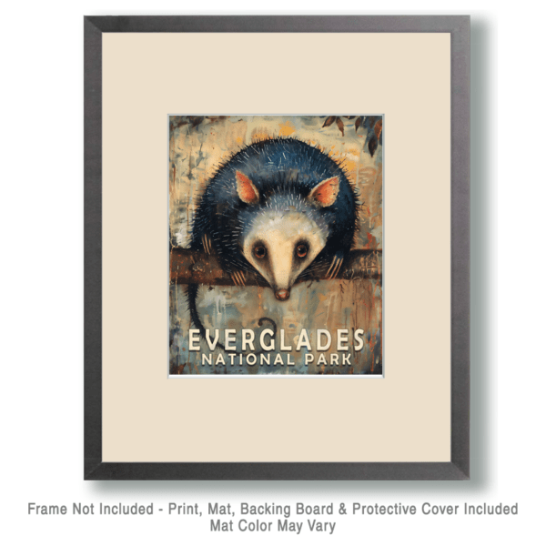 Opossum Art Print - Mowbi's Everglades