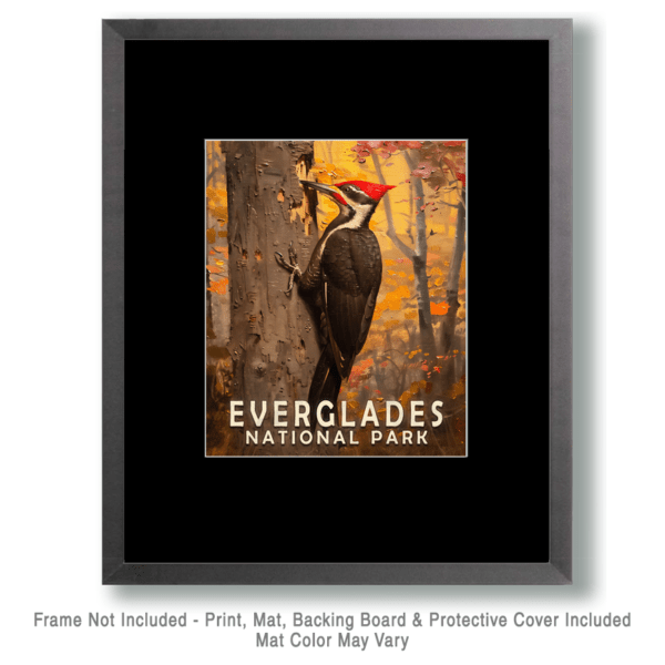 Pileated Woodpecker Art Print - Mowbi's Everglades