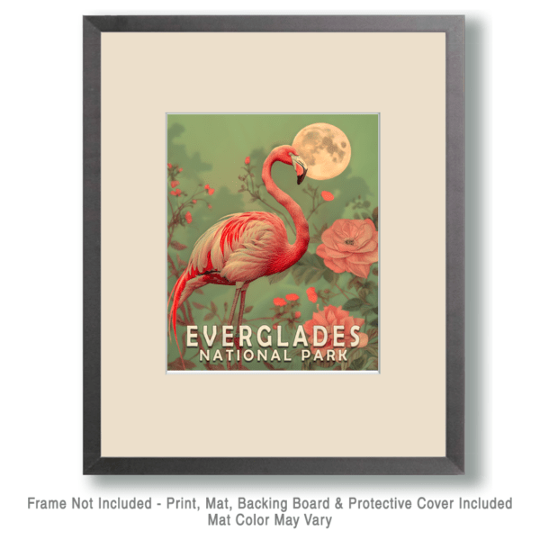 Pink Flamingo Art Print - Mowbi's Everglades