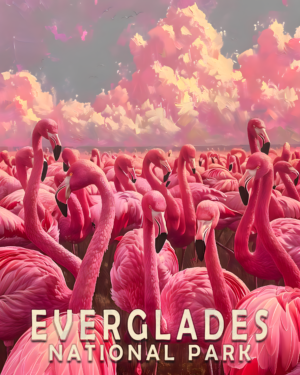 Flock of Pink Flamingos Art Print - Mowbi's Everglades National Park