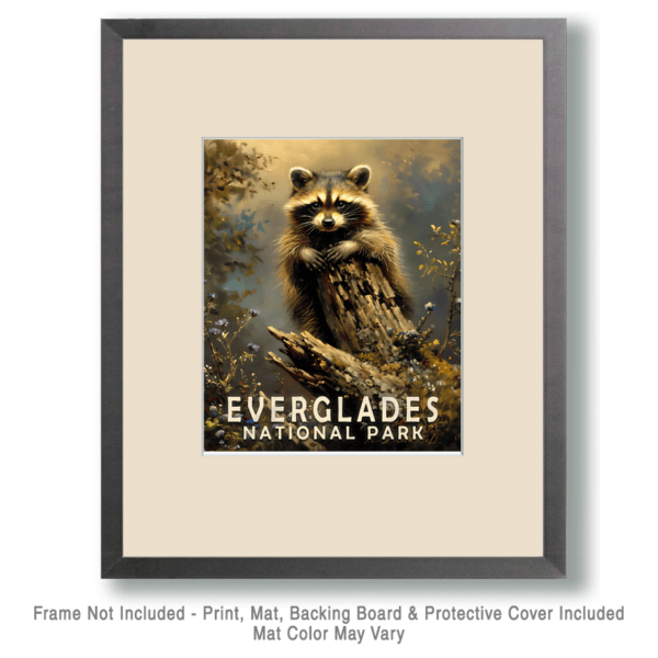 Raccoon Art Print - Mowbi's Everglades