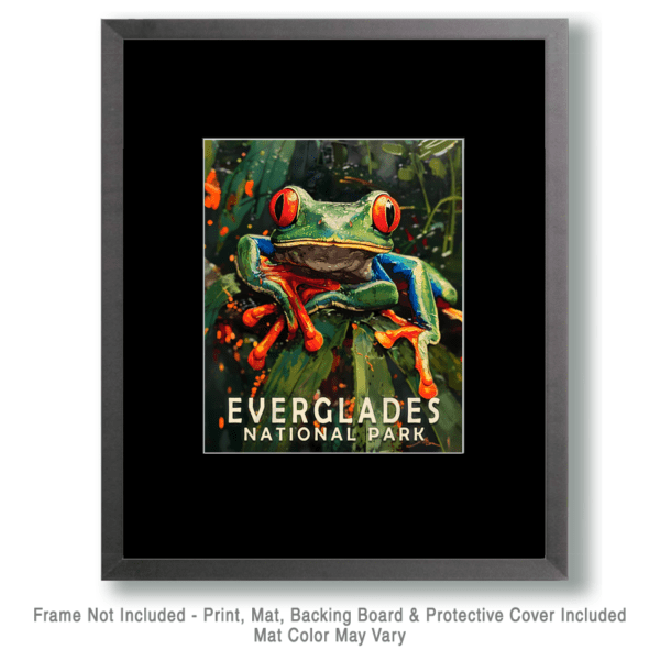 Red-Eyed Tree Frog Art Print - Mowbi's Everglades