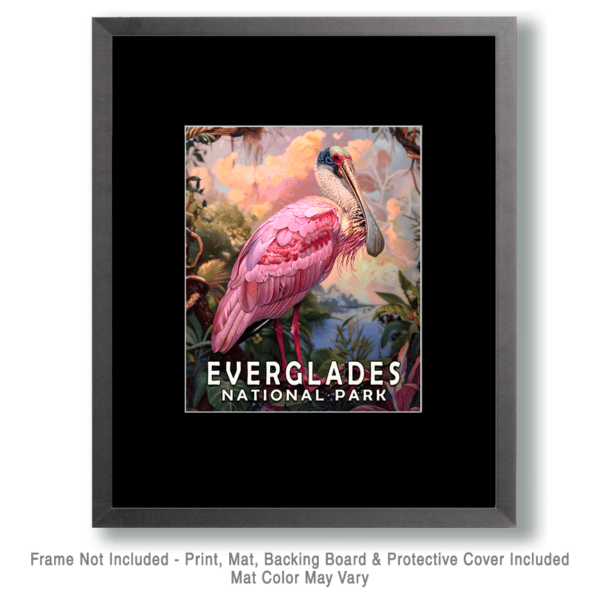 Roseate Spoonbill Art Print - Mowbi's Everglades