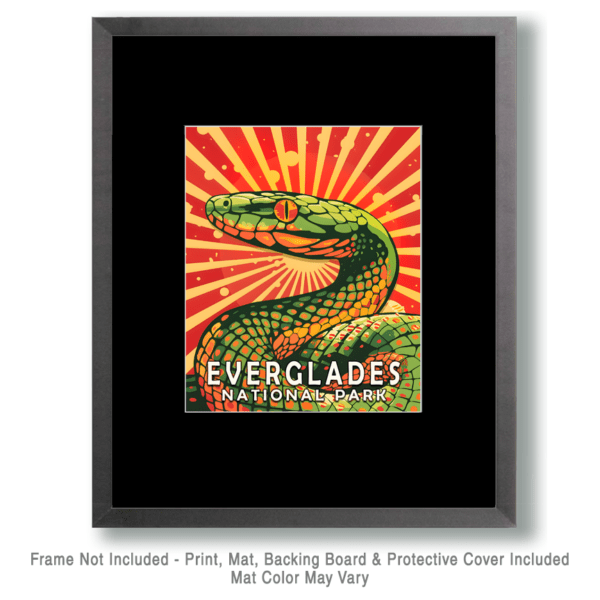 Rough Green Grass Snake Art Print - Mowbi's Everglades