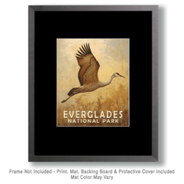 Flying Sandhill Crane Art Print - Mowbi's Everglades