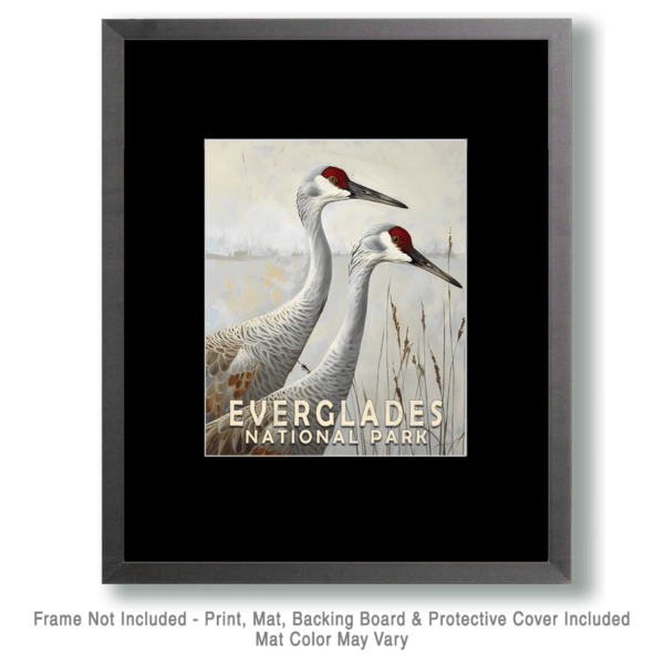 Sandhill Cranes Art Print - Mowbi's Everglades