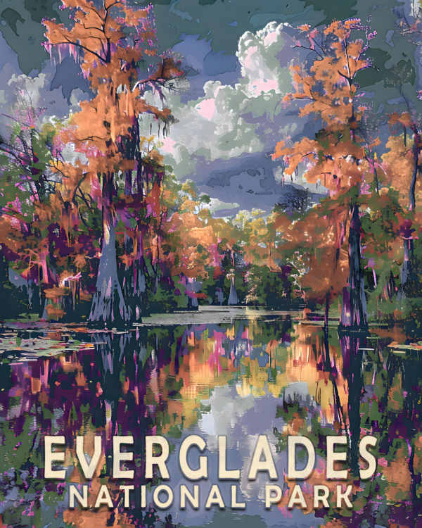 Early Morning Bayou Landscape Art Print - Mowbi's Everglades National Park