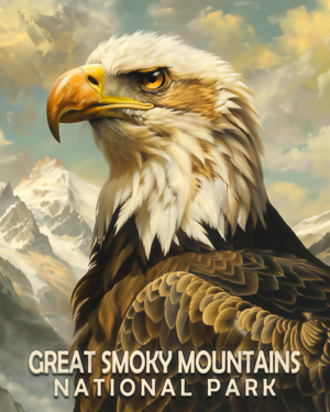 Bald Eagle Mowbi's Smoky Mountains Art Print Collection