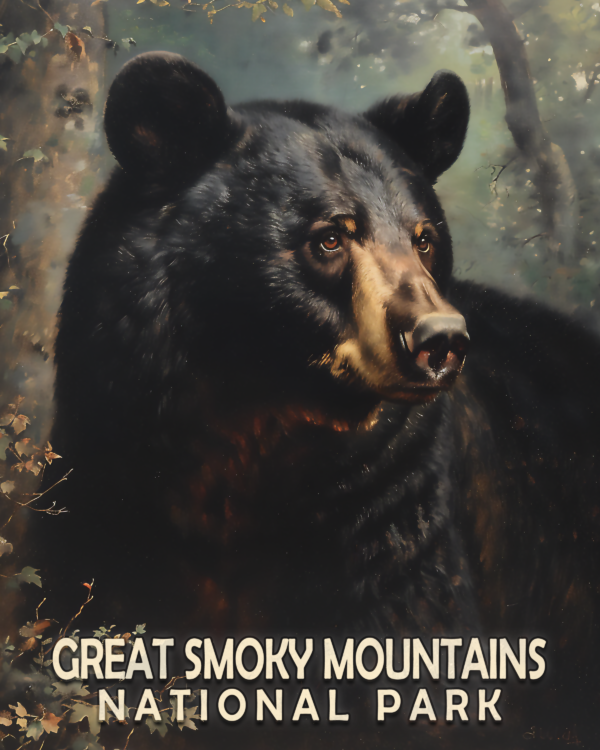 Black Bear - Mowbi's Smoky Mountains Art Print Collection