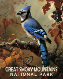 Blue Jay - Mowbi's Smoky Mountains Art Print Collection