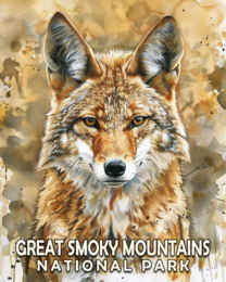 Coyote - Mowbi's Smoky Mountains Art Print Collection