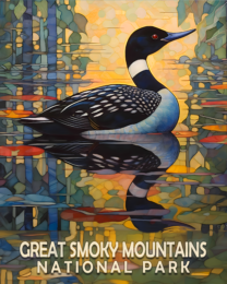 Common Loon - Mowbi's Smoky Mountains Art Print Collection