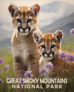 Mountain Lion Cubs - Mowbi's Smoky Mountains Art Print Collection