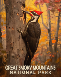 Pileated Woodpecker - Mowbi's Smoky Mountains Art Print Collection