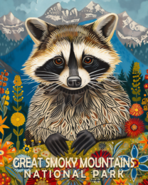 Raccoon - Mowbi's Smoky Mountains Art Print Collection