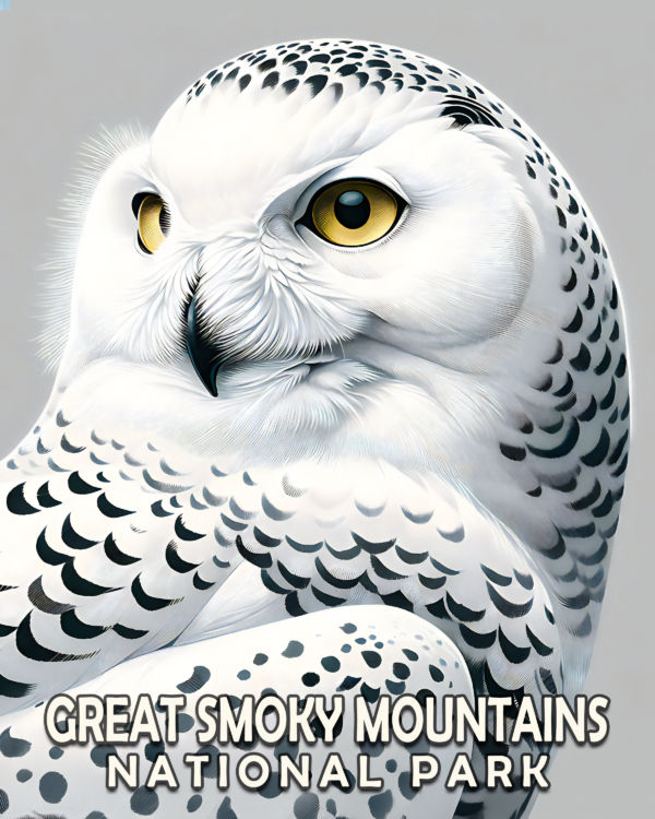 Snowy Owl - Mowbi's Smoky Mountains Art Print Collection