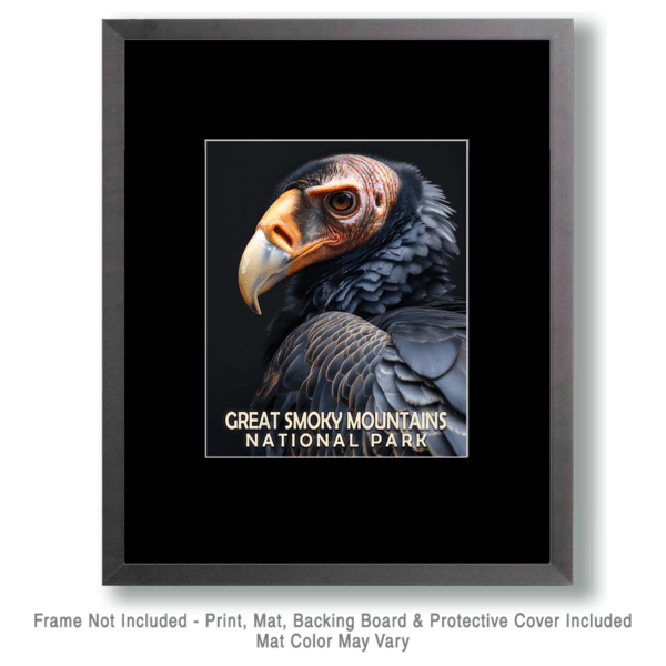 - 8"x10" Wall Art Print - Mowbi's Smoky Mountains National Park Nature Wildlife Collection