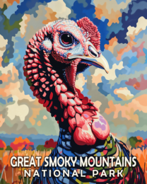 Wild Turkey - Mowbi's Smoky Mountains Art Print Collection