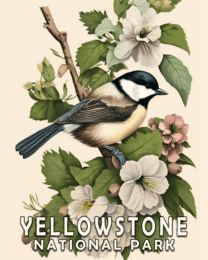 Chickadee - Yellowstone National Park Art Print